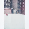 Unisex Peace for All Grafik Tişört | Saul Leiter